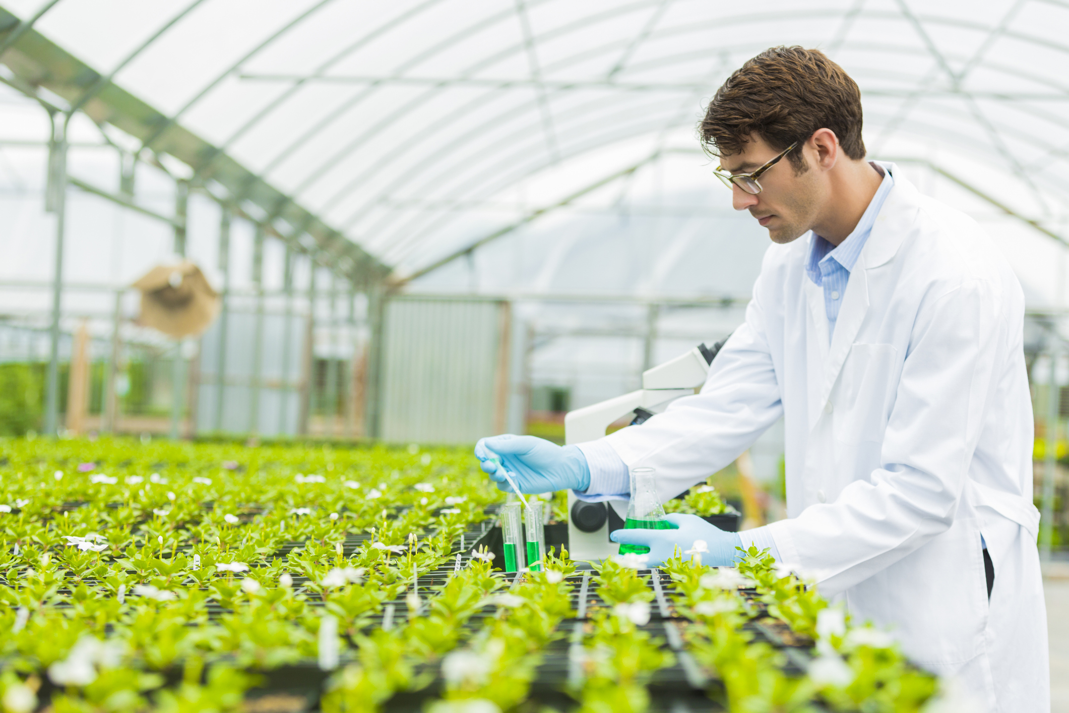 Botanist working in test lab